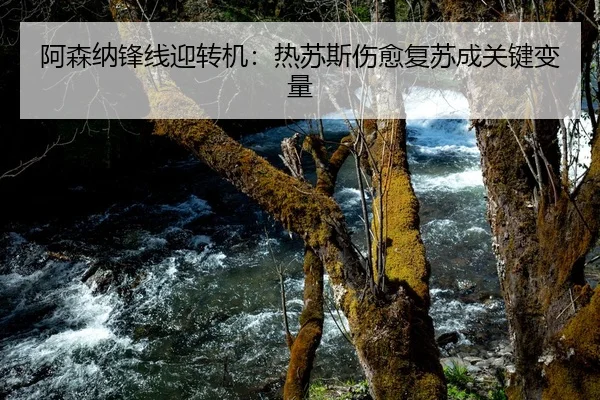 阿森纳锋线迎转机：热苏斯伤愈复苏成关键变量
